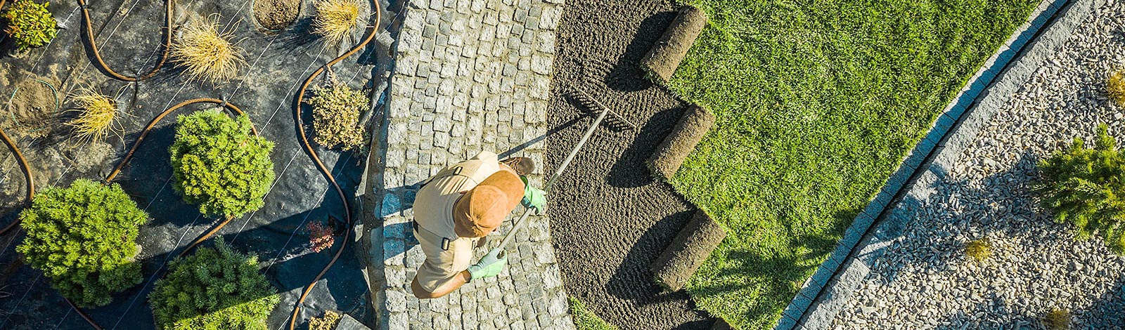 Pflegeplanung für Unterhaltungspflege, Entwicklungspflege, Fertigstellungspflege